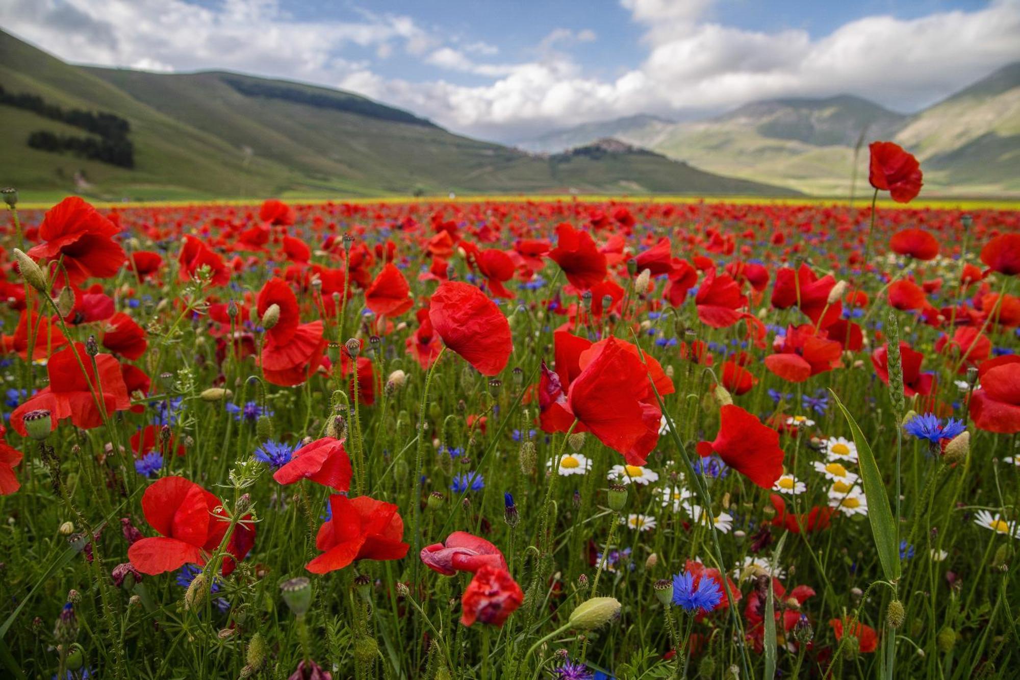 Agriturismo La Cascina Di Opaco Norcia Exteriér fotografie