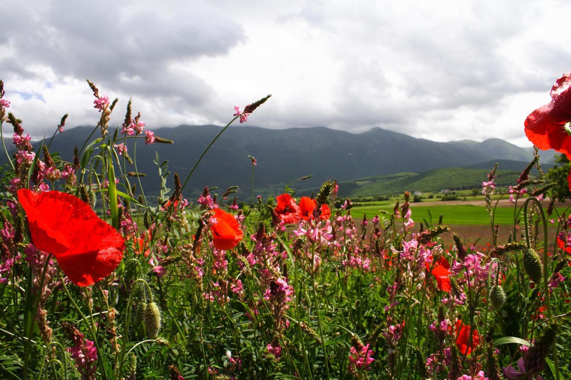 Agriturismo La Cascina Di Opaco Norcia Exteriér fotografie